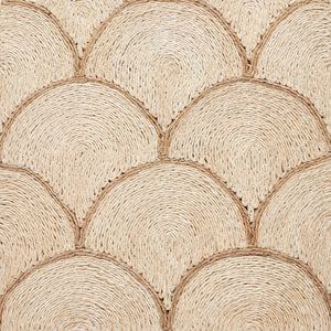 Scallop