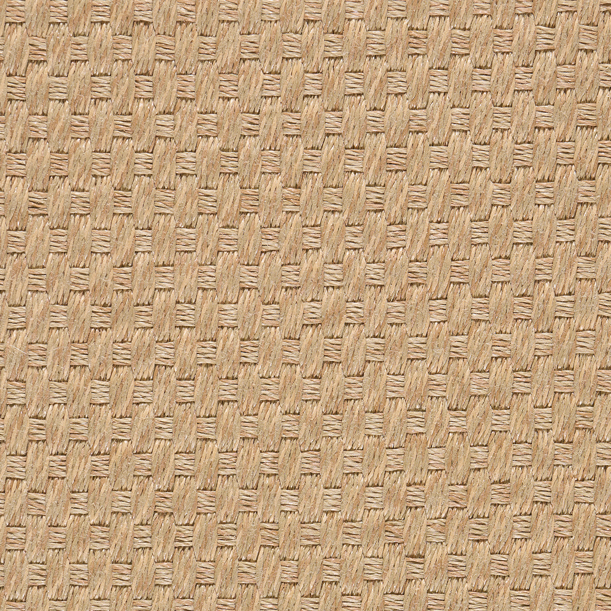 Paloosa