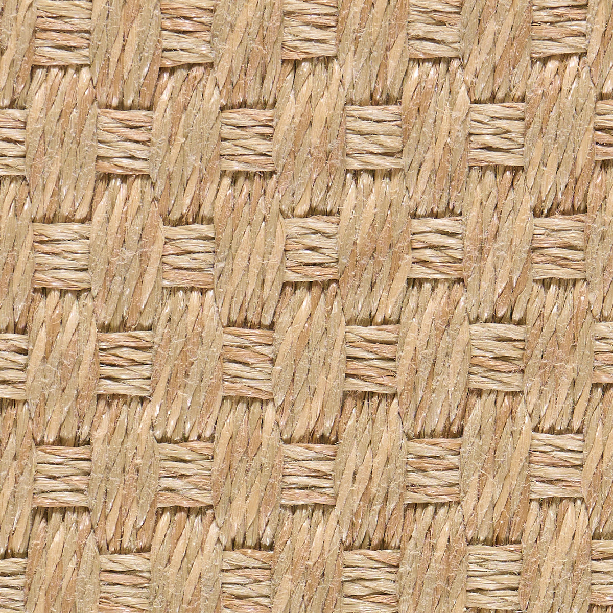 Paloosa