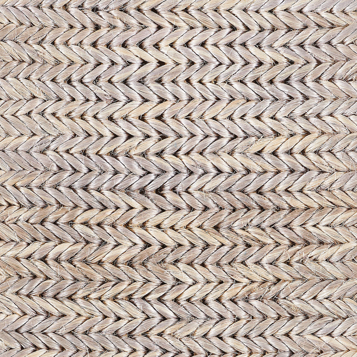 Molory Twist
