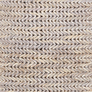 Molory Twist