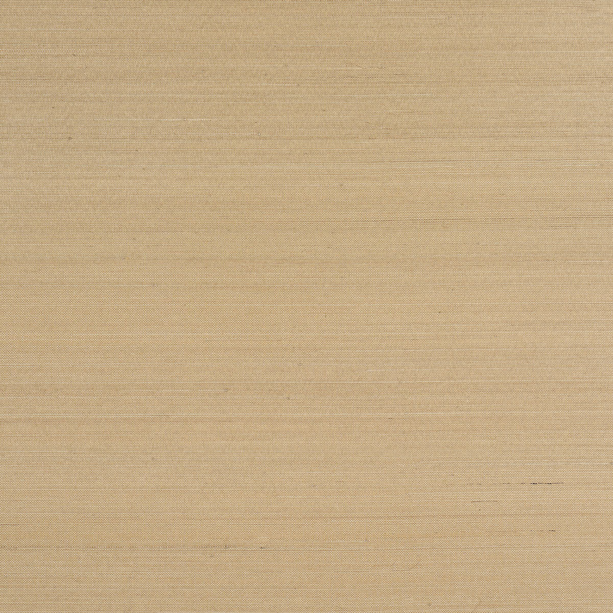 Musa Abaca Wallcovering