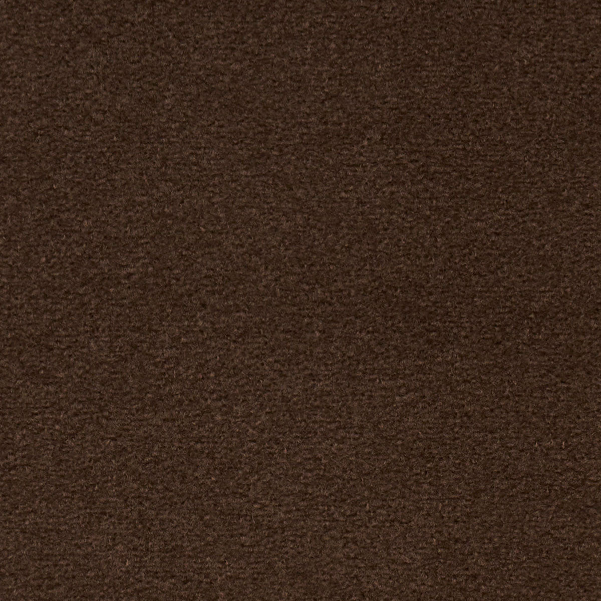 Hermine Virgin Wool