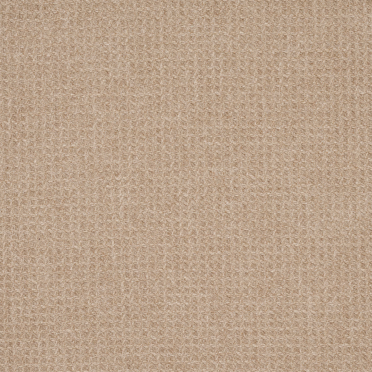 Walden Wool Texture