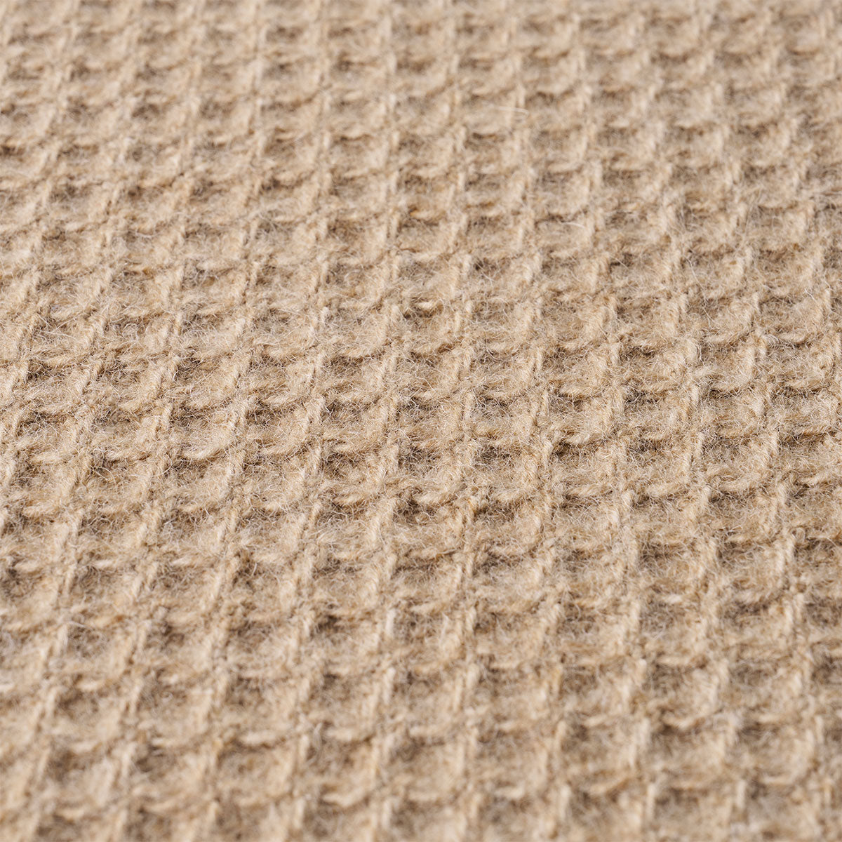 Walden Wool Texture