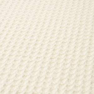 Walden Wool Texture