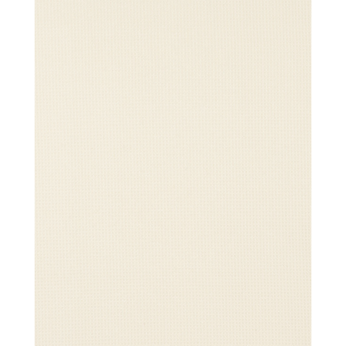 Walden Wool Texture