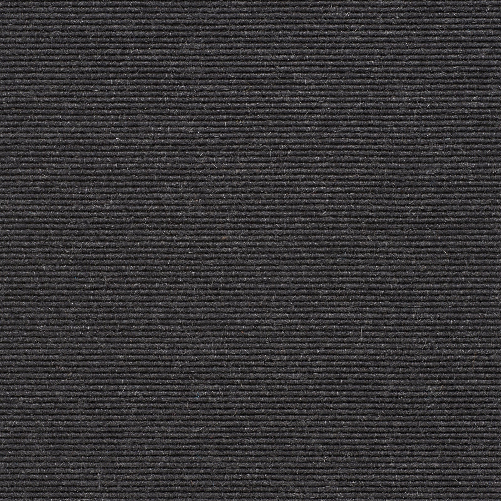 tretford-roll_goat-hair-nylon_broadloom_patterson-flynn-martin_pfm