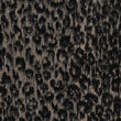 Pinched Leopard