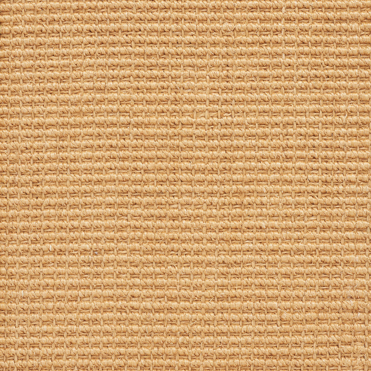 Panola