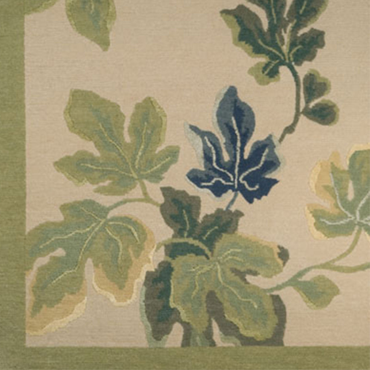 Feuilles De Figuier