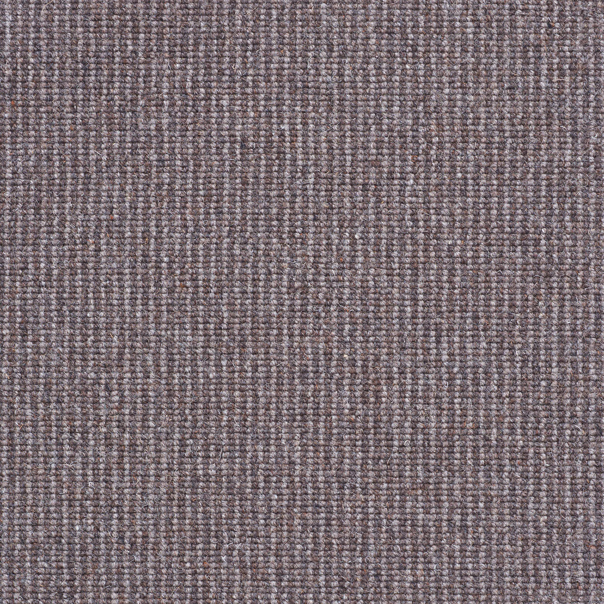 Boule Tweed