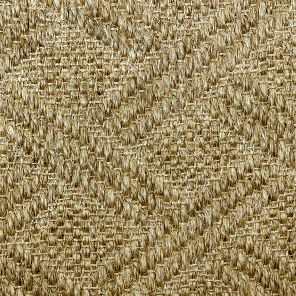 Paganelli