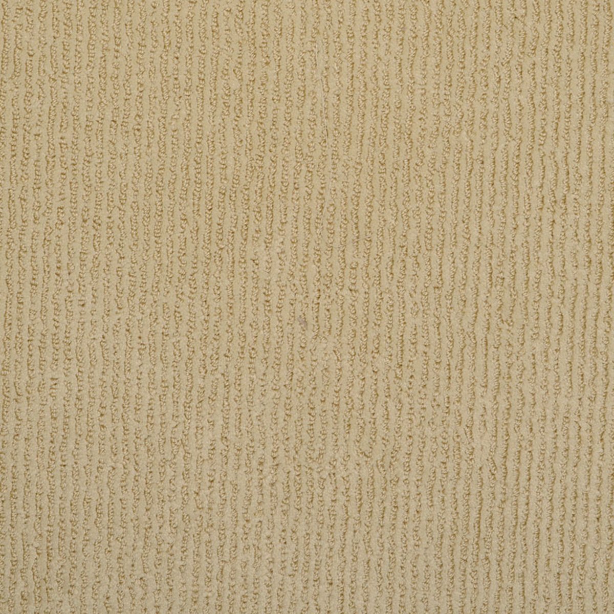 Chlorys
