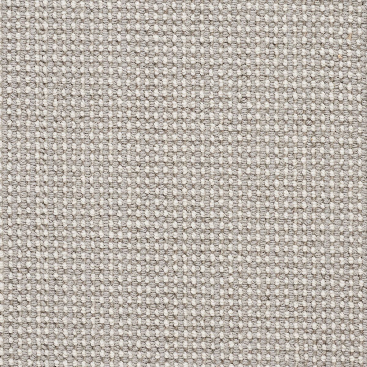 gareth_wool_broadloom_patterson-flynn-martin_pfm