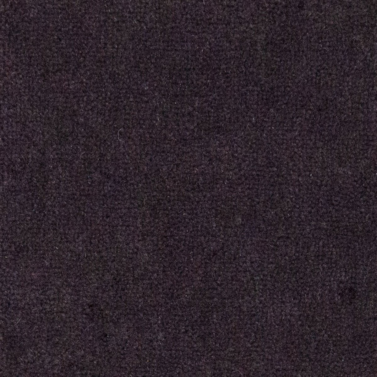 Randall Velour