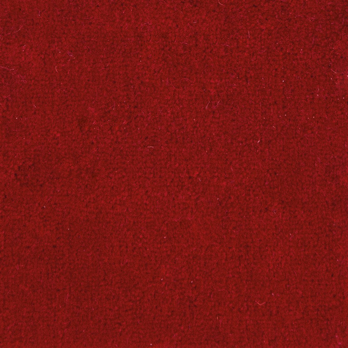 Randall Velour