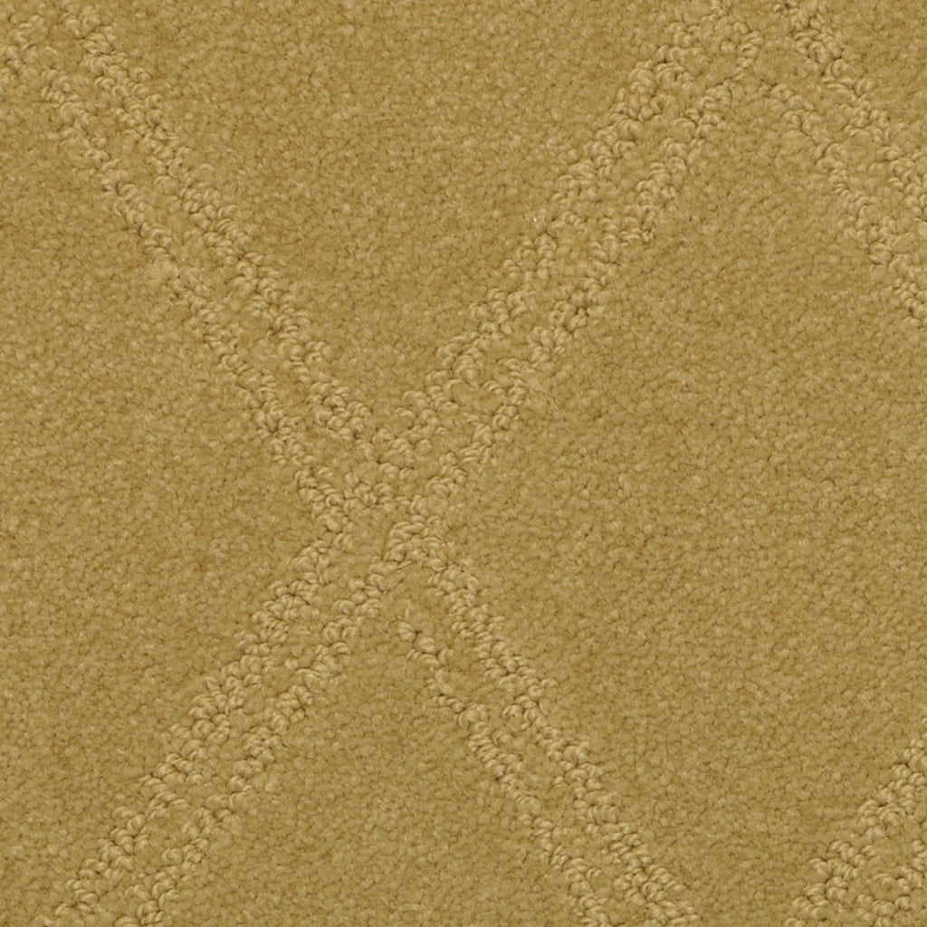 Beltic Opulence – Patterson Flynn