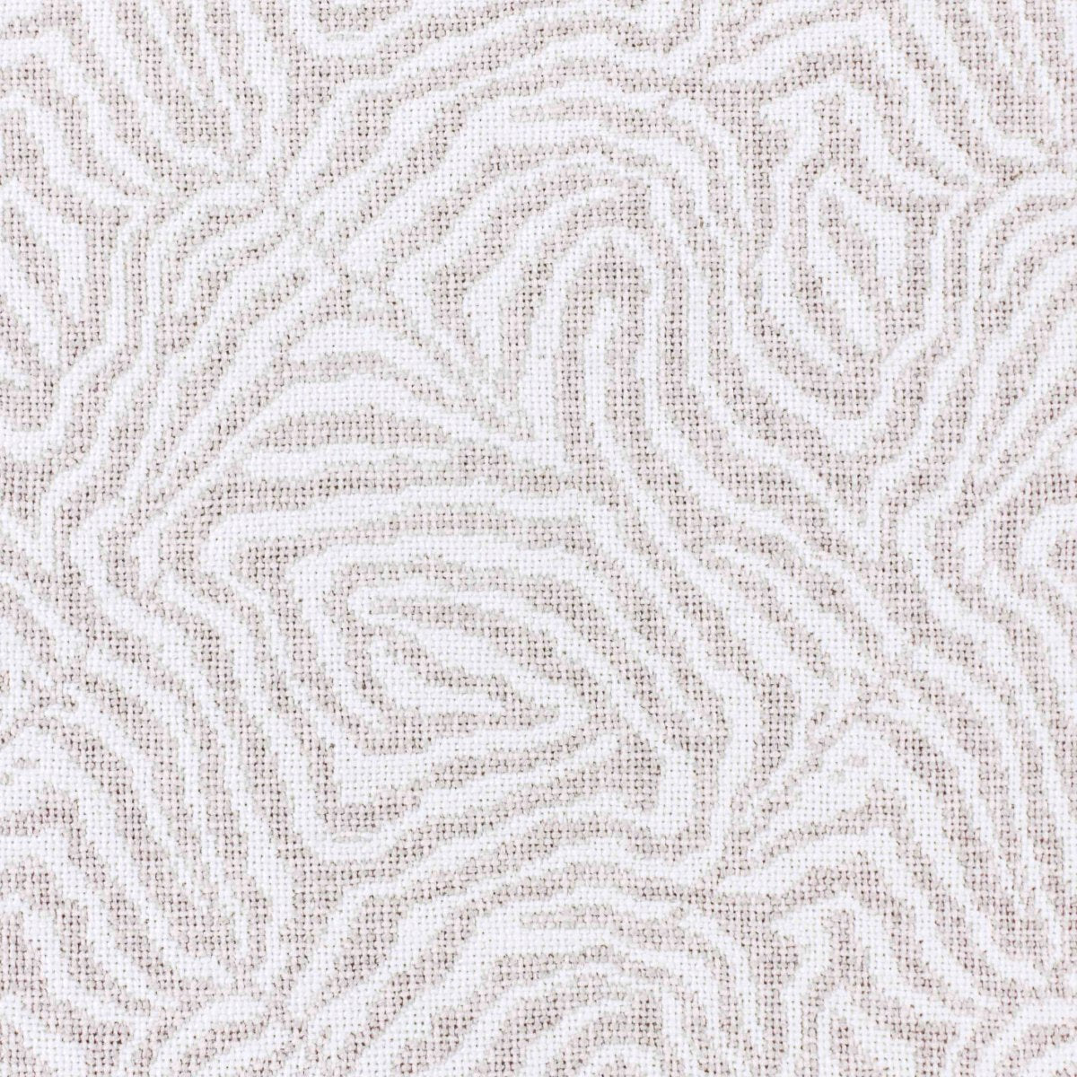 Simple Zebra