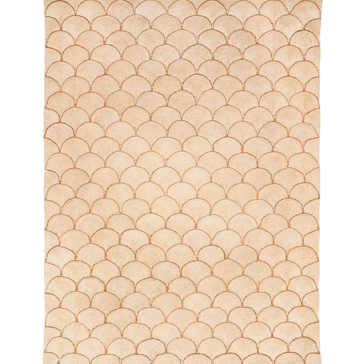 Scallop