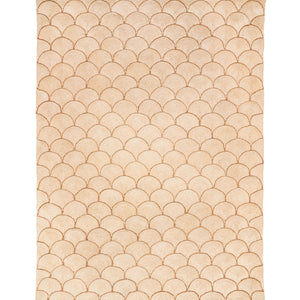 Scallop