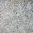 Scallop