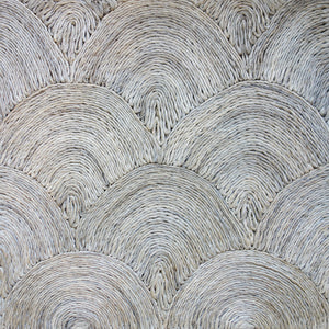 Scallop