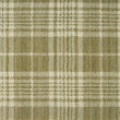 Groovy Plaid