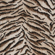 Kenya Tigress