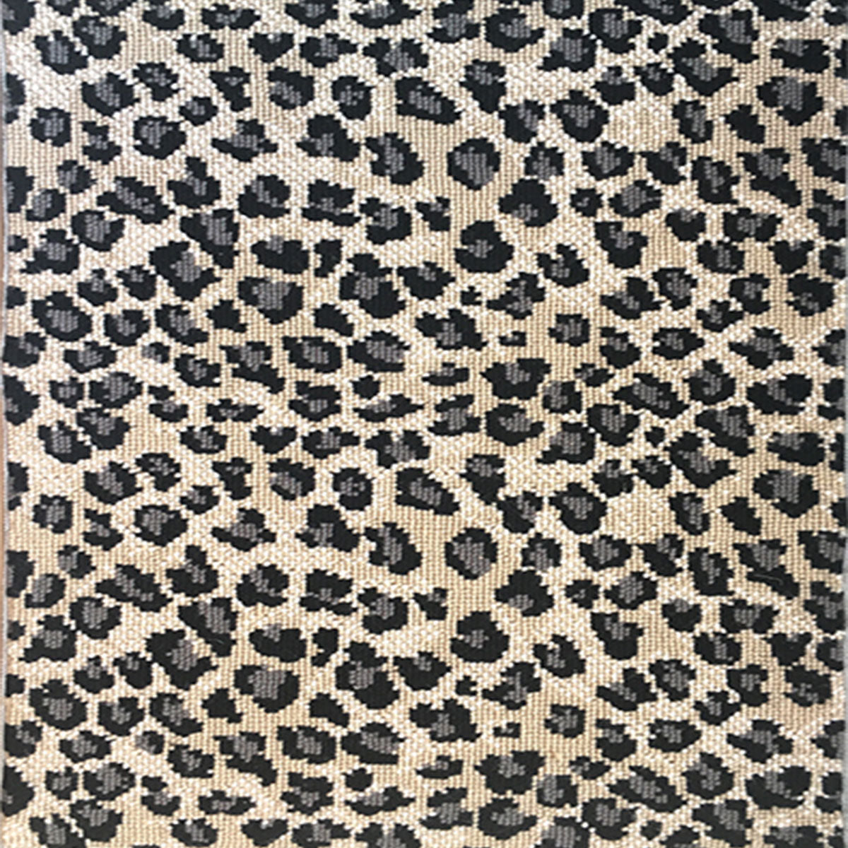 Kenya Leopard