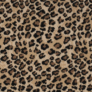 Kenya Leopard