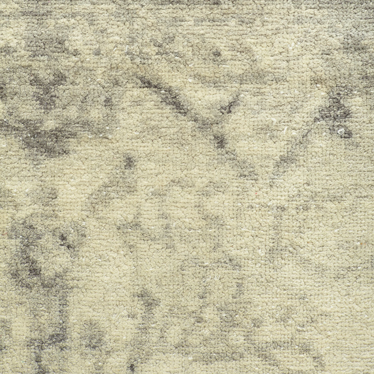 Tiziano