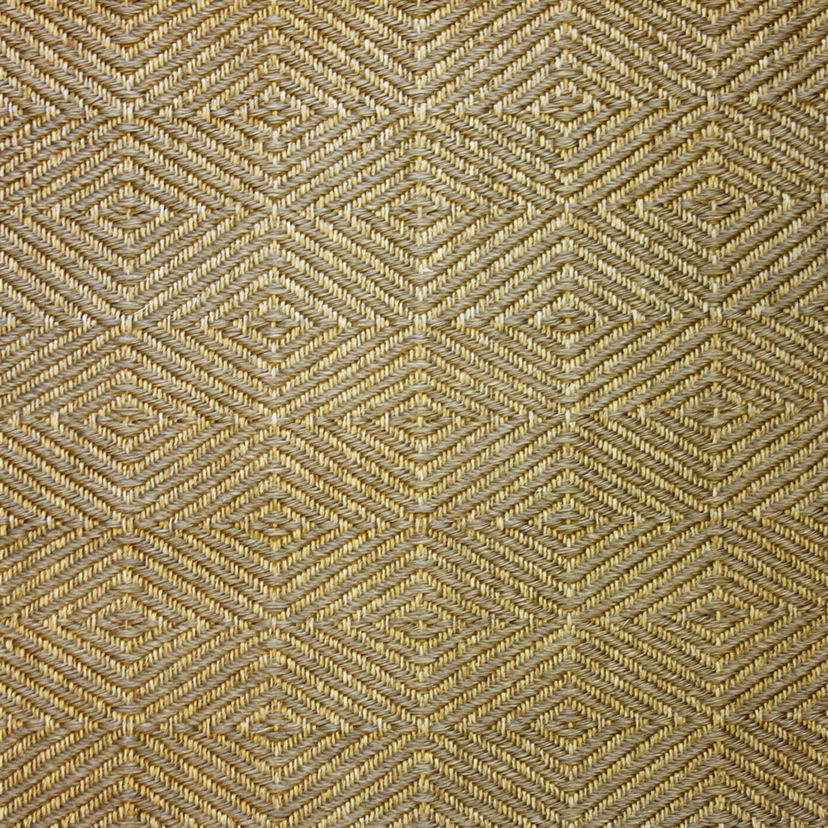 Cogua