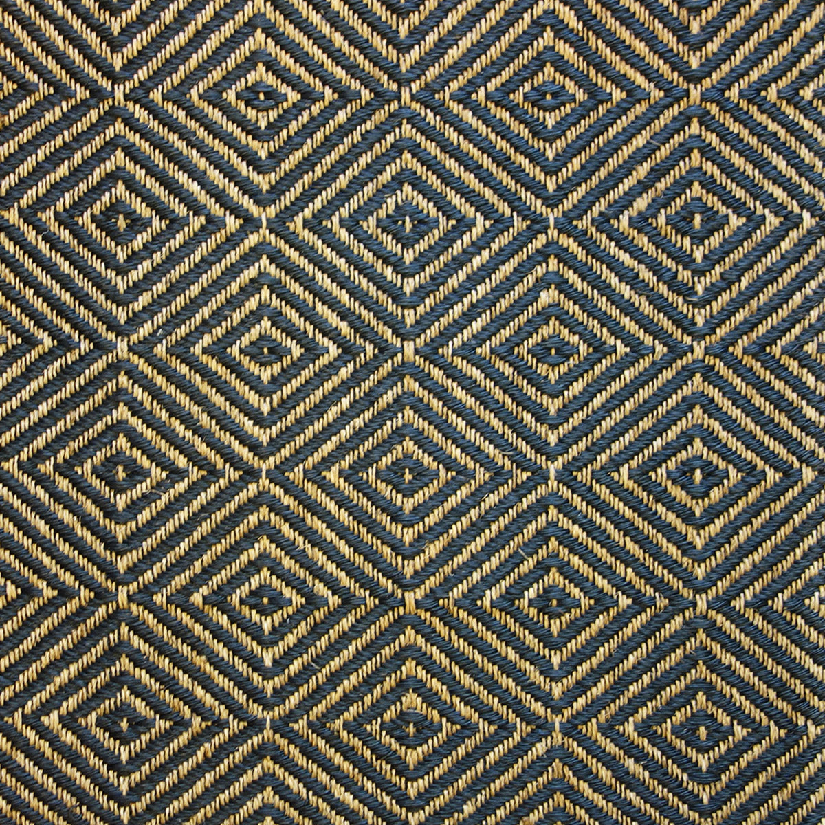 Cogua