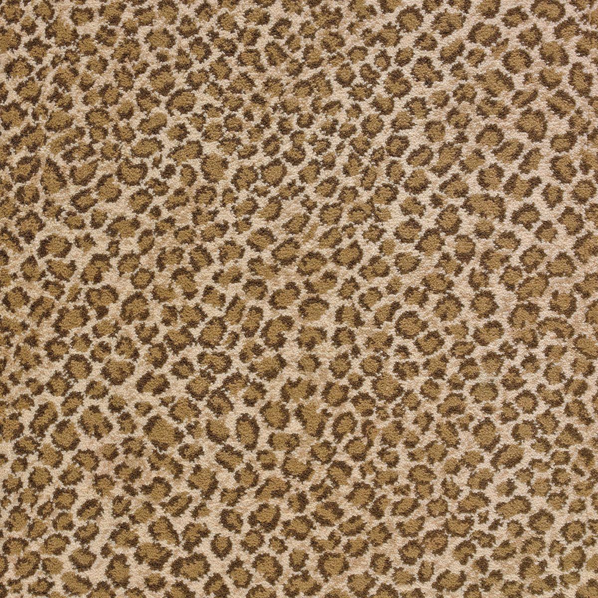 Lucky Safari