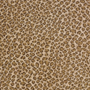Lucky Safari