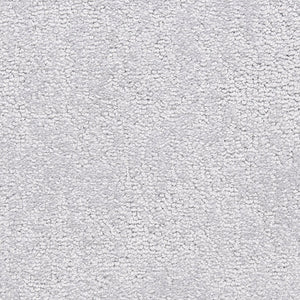 belafonte_nylon_broadloom_patterson-flynn-martin_pfm
