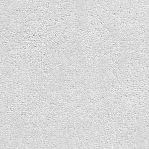 belafonte_nylon_broadloom_patterson-flynn-martin_pfm