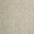iggy_wool_broadloom_patterson-flynn-martin_pfm