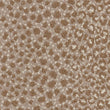 gazette_polypropylene_broadloom_patterson-flynn-martin_pfm