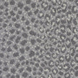 gazette_polypropylene_broadloom_patterson-flynn-martin_pfm