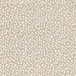 artistic-dot_wool-nylon_broadloom_patterson-flynn-martin_pfm