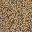 fordham_wool-nylon_broadloom_patterson-flynn-martin_pfm