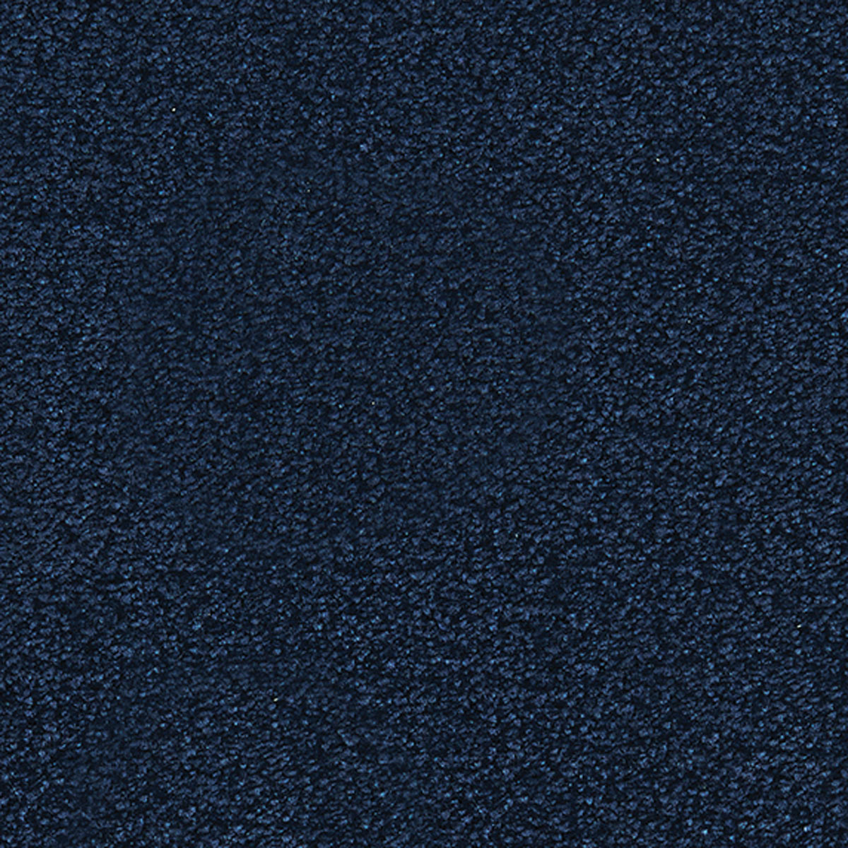 orby_nylon_broadloom_patterson-flynn-martin_pfm