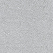 orby_nylon_broadloom_patterson-flynn-martin_pfm