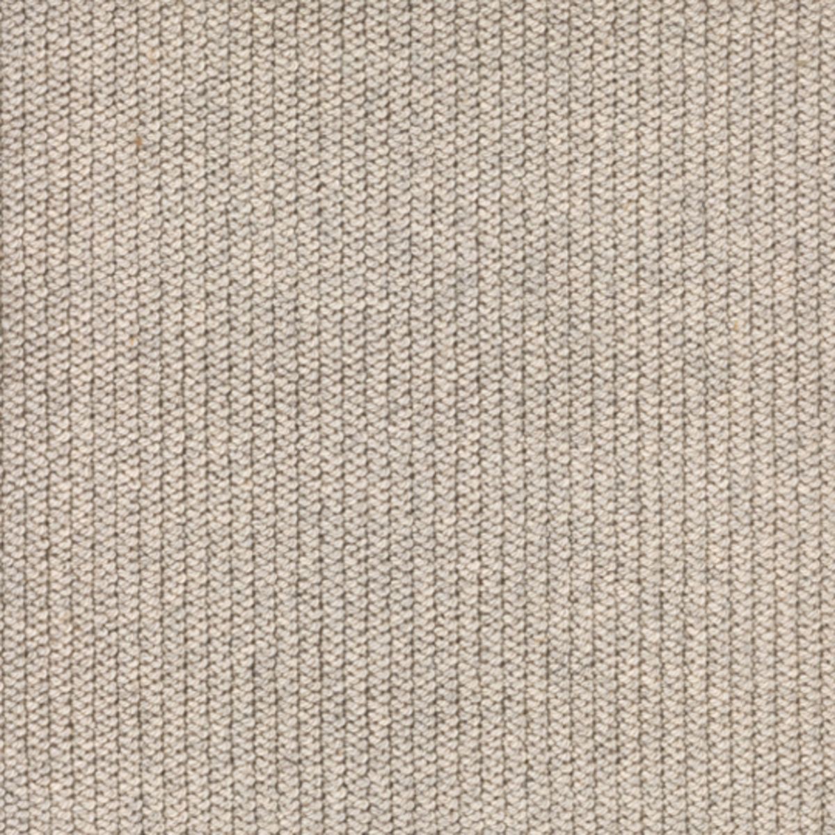 Zuba