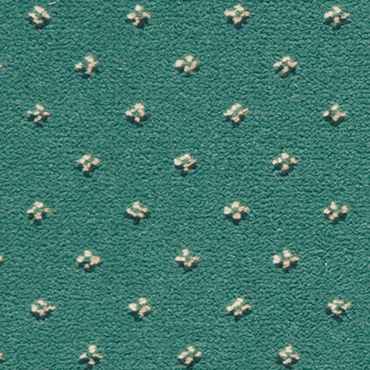 Sussex Pindot