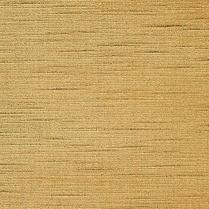 Dorothea Silk Velvet
