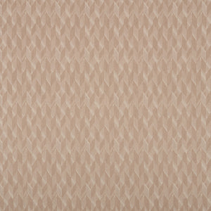 Ezra Wool
