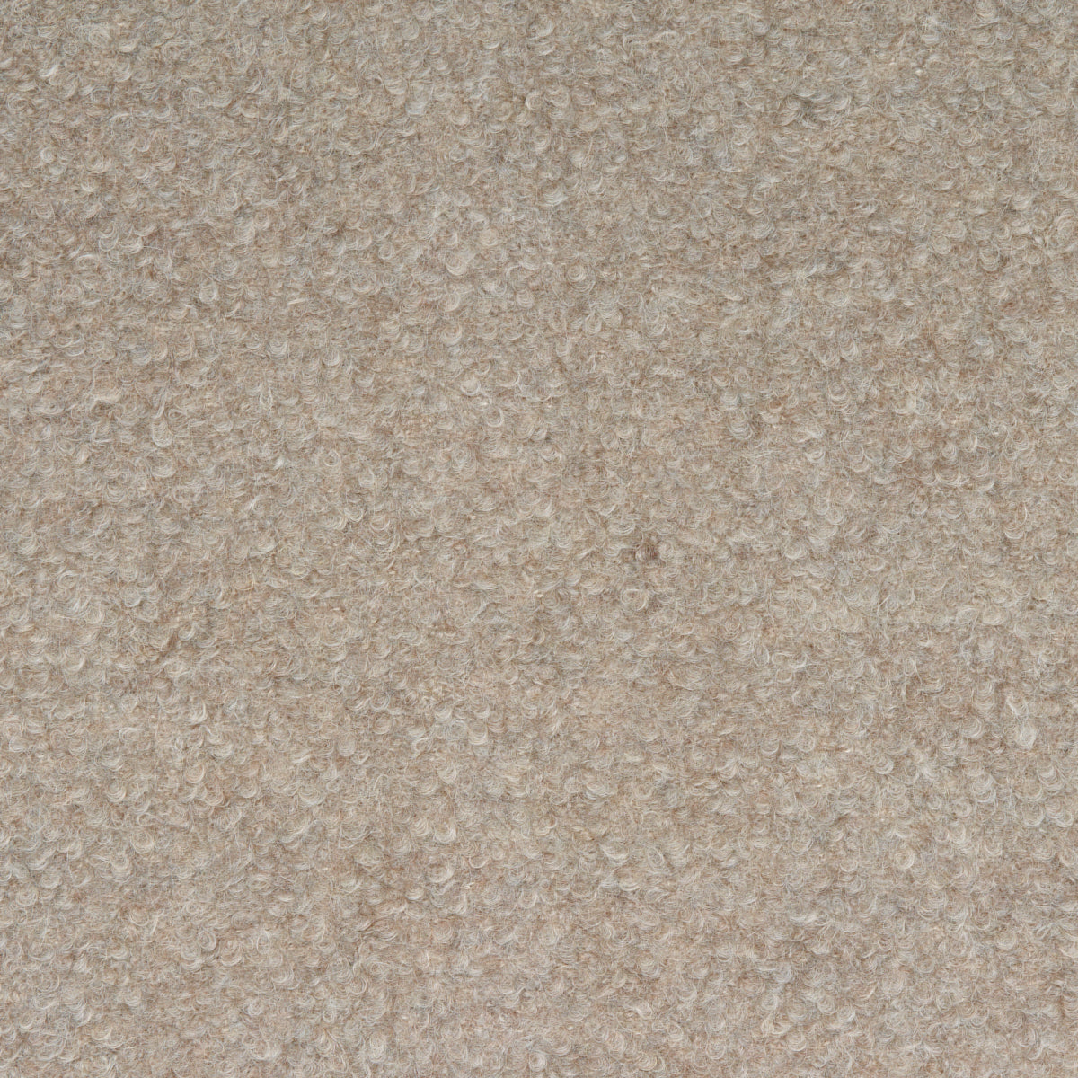 Teddy Wool Bouclé